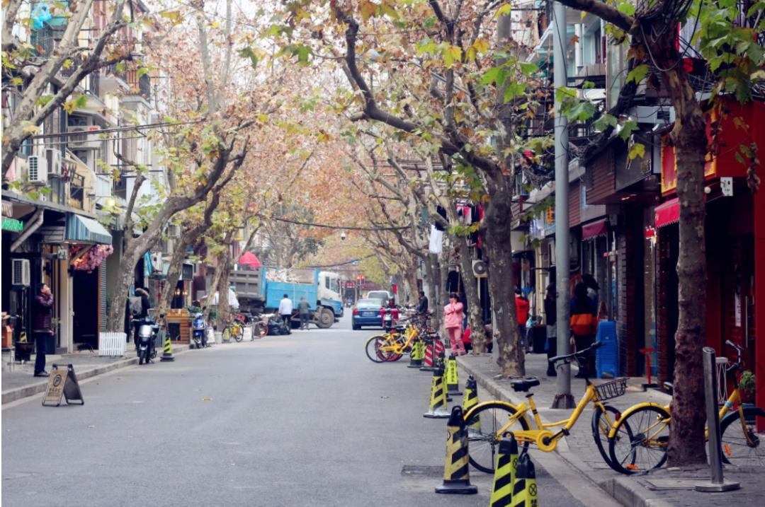 上海必逛的十条马路,上海比较有名的小马路