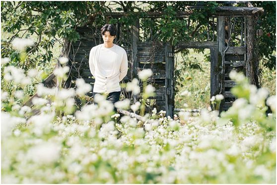 翁源东华地窖酒,韶关翁源赏荞麦花