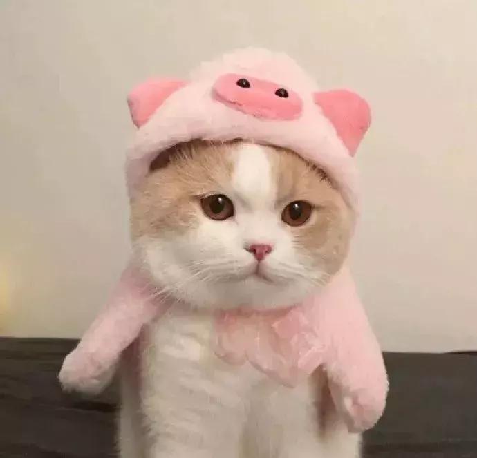 让李佳琦OMG的所有口红都在这里,究竟哪些值得买!