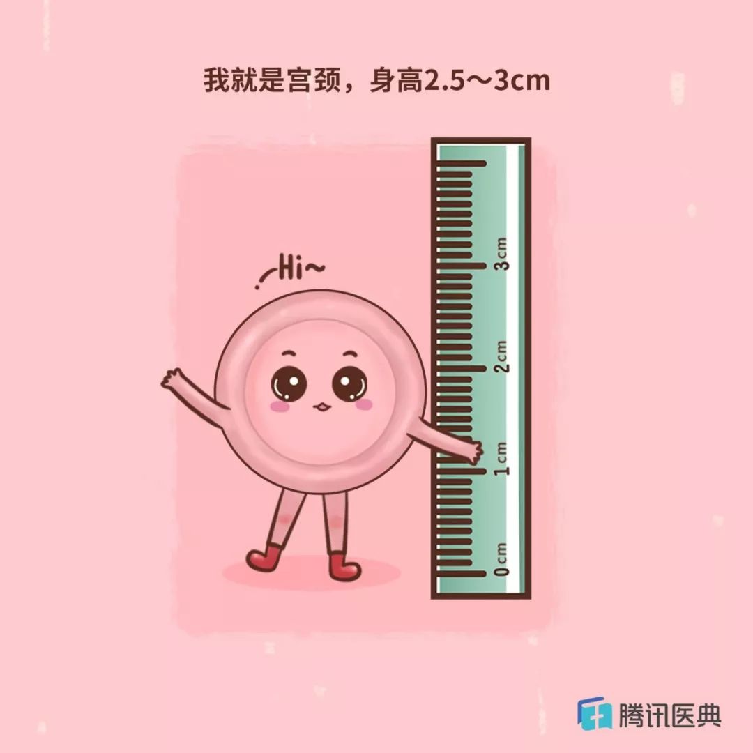 没错,这个所谓“妇科病”,应该改一下名字了