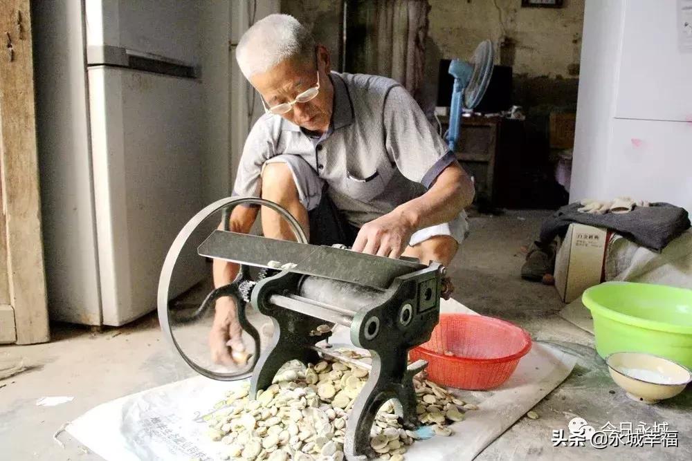 记住乡愁的记忆,永城丰庄枣干多少钱一斤