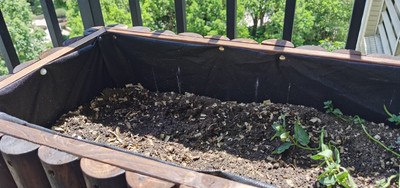 适合在北方阳台盆栽的果树,北方封闭式阳台适合的桔子盆栽