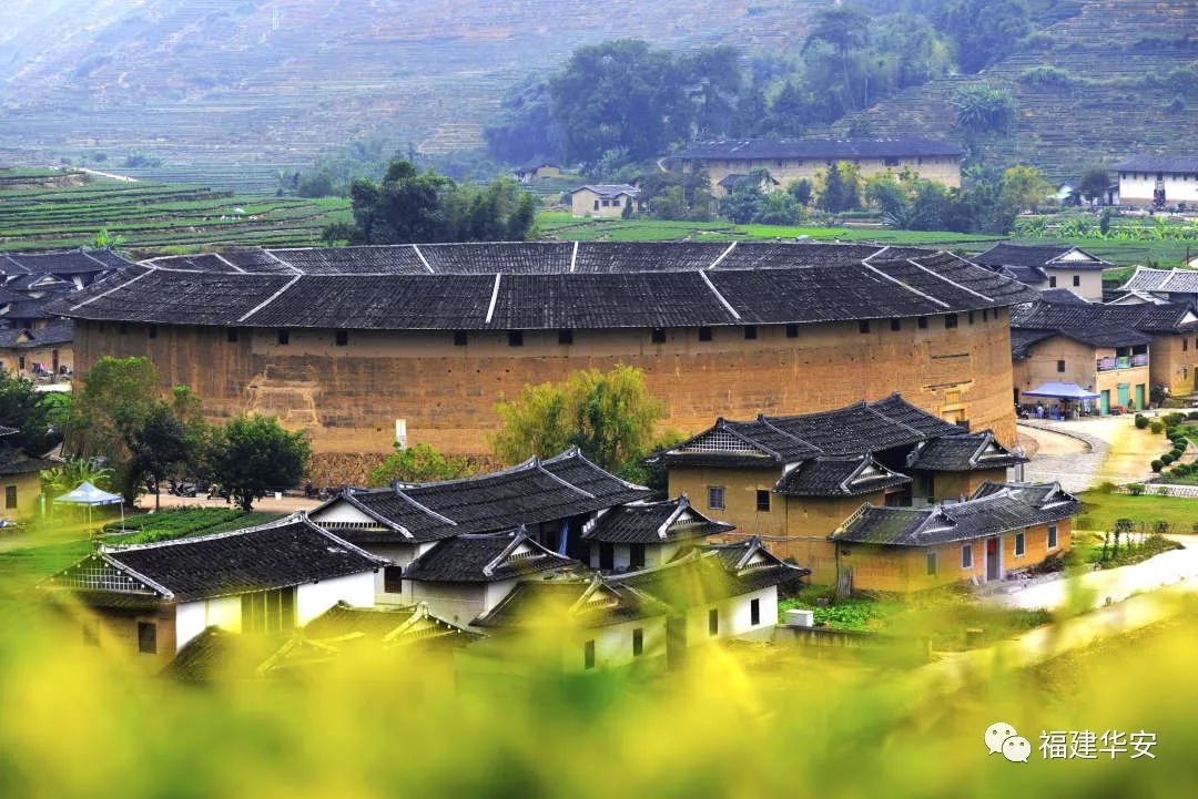 华安：一盏茶的时光