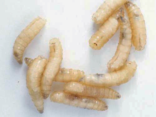 都市奇妙物语灵异事件,都市奇妙物语6岁女孩