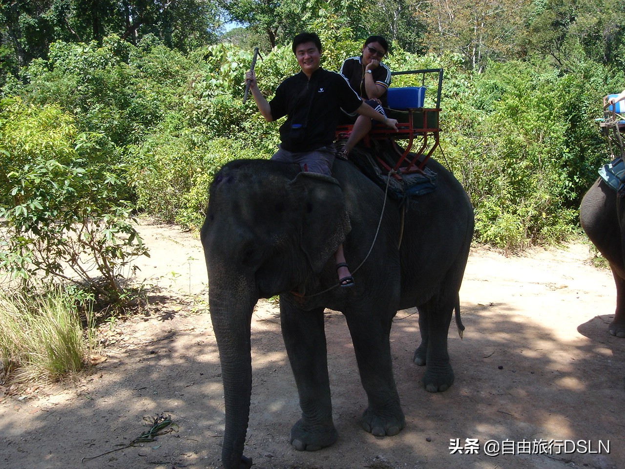 我们夫妻的身体变形记，减肥来之不易，恶心自己高兴别人