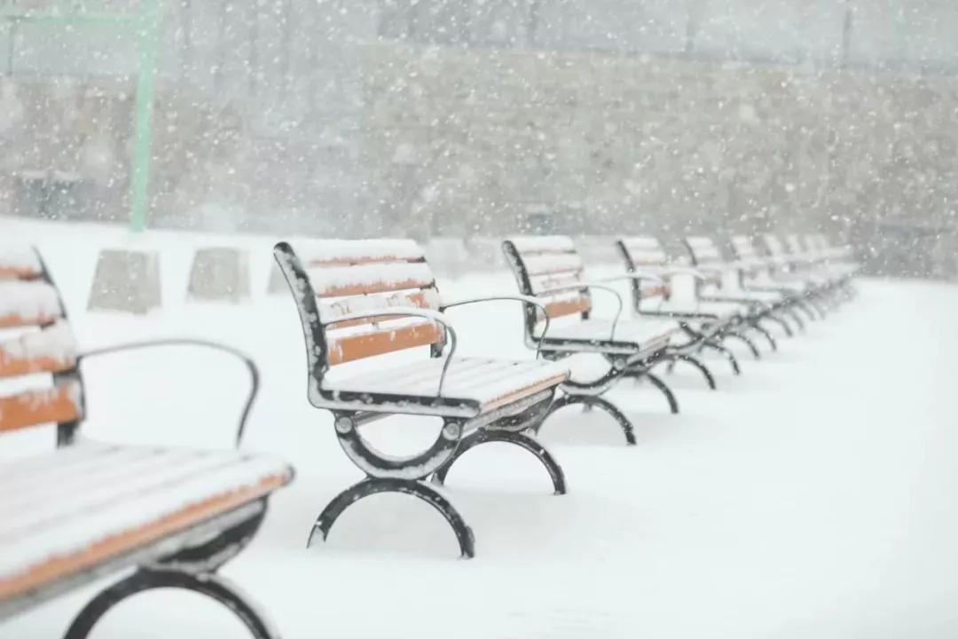 辽宁省高校(三十二)大连外国语大学