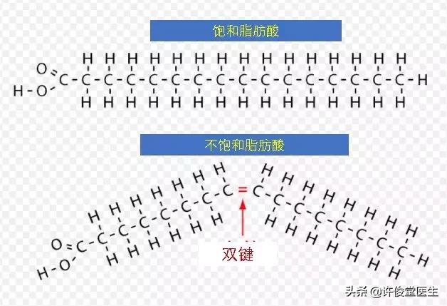 人们吃的脂肪有哪些,可以吃哪些优质脂肪