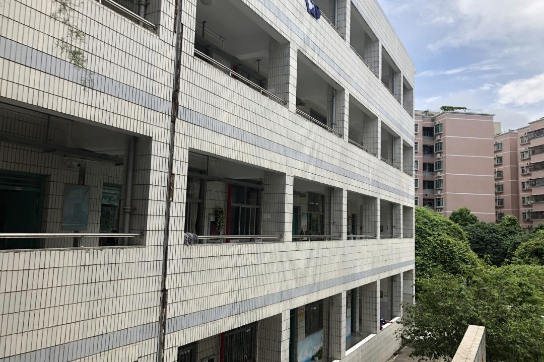 珠光路小学刚建时的照片,珠光小学现在变成什么样了