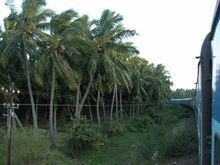 印度半岛国家分布图,印度半岛国家