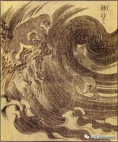 不可思议的神秘动物,不可思议的动物