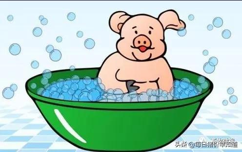 「热应激」0死亡！最科学的猪热应激治疗方案