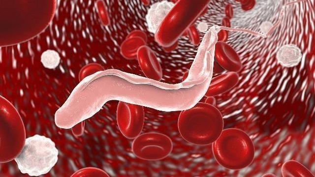 肛门有个肉疙瘩是痔疮吗怎么治疗,肛门有肉疙瘩是痔疮吗怎么治疗