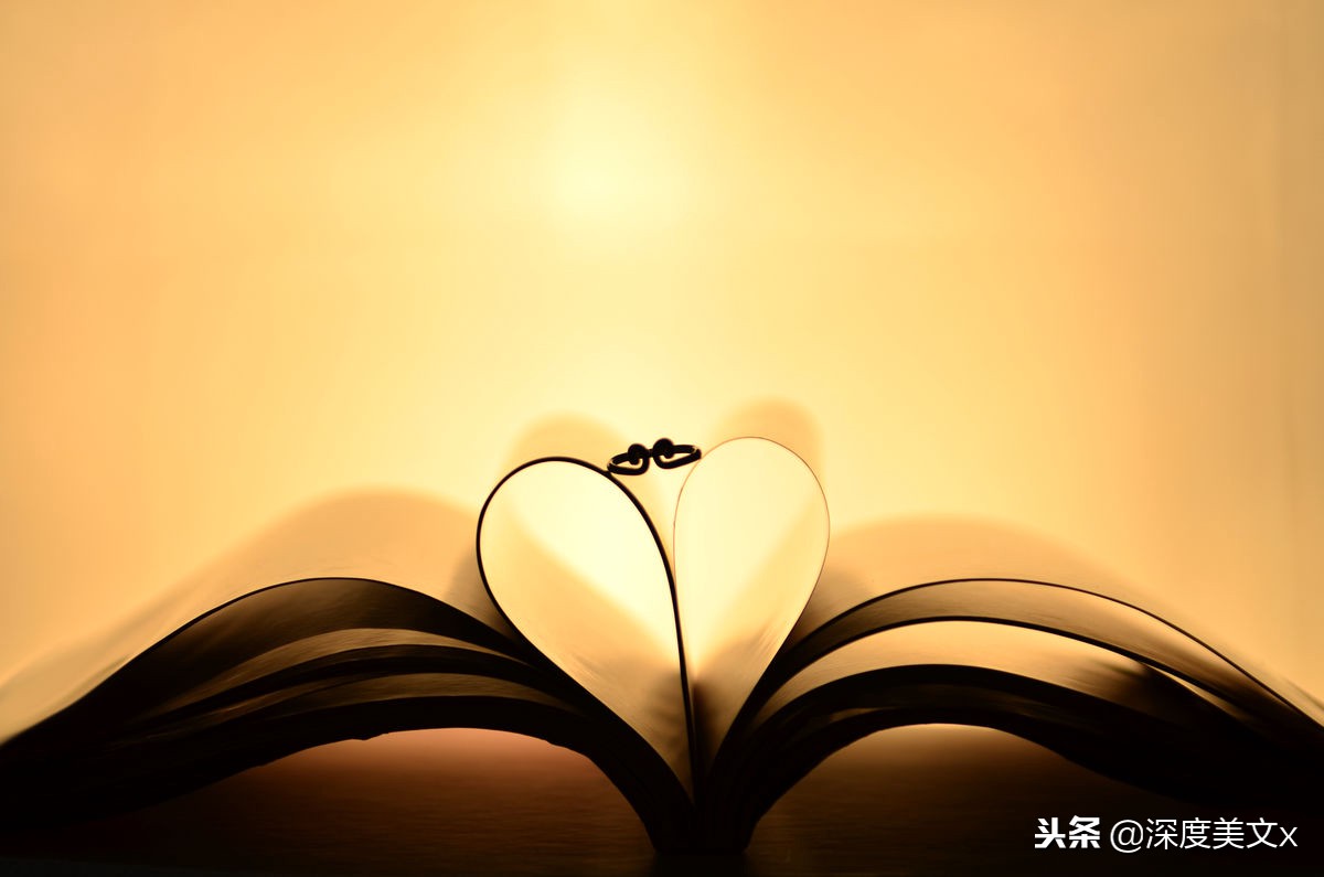 别碰，那是我的舒适区