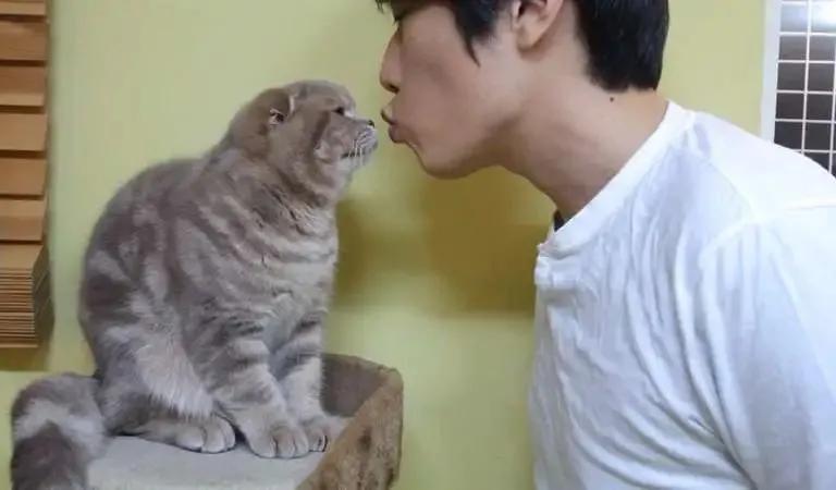 猫咪嘴巴臭好几个月了怎么解决,铲屎官亲猫咪的时候