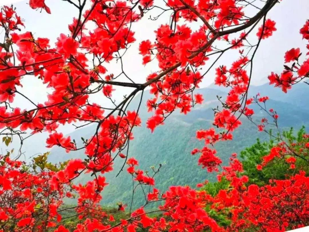 视觉震撼从高处看地球,超震撼从60万米高空看河北