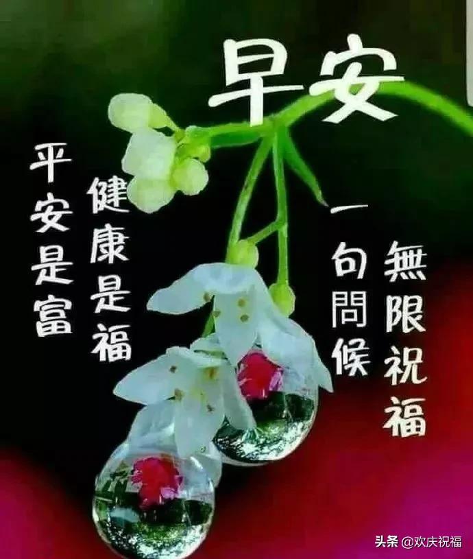 星期三早安图片大全大图,星期五的早安图片大全