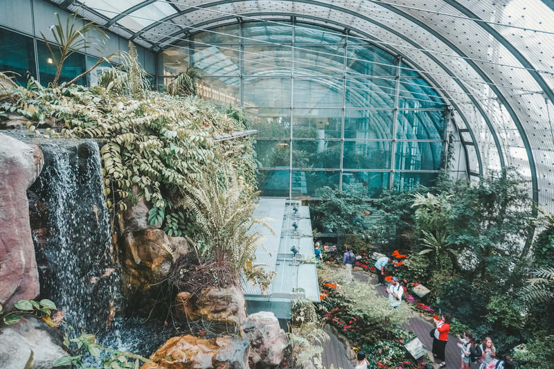 一人一猫环游,一人一猫旅行