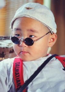 曾经大红大紫的童星是谁,大红大紫的童星