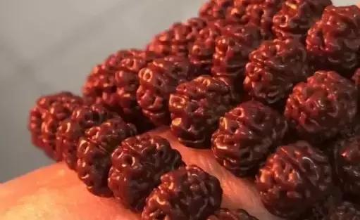 金刚菩提的刷盘方法,金刚菩提是刷红还是盘红