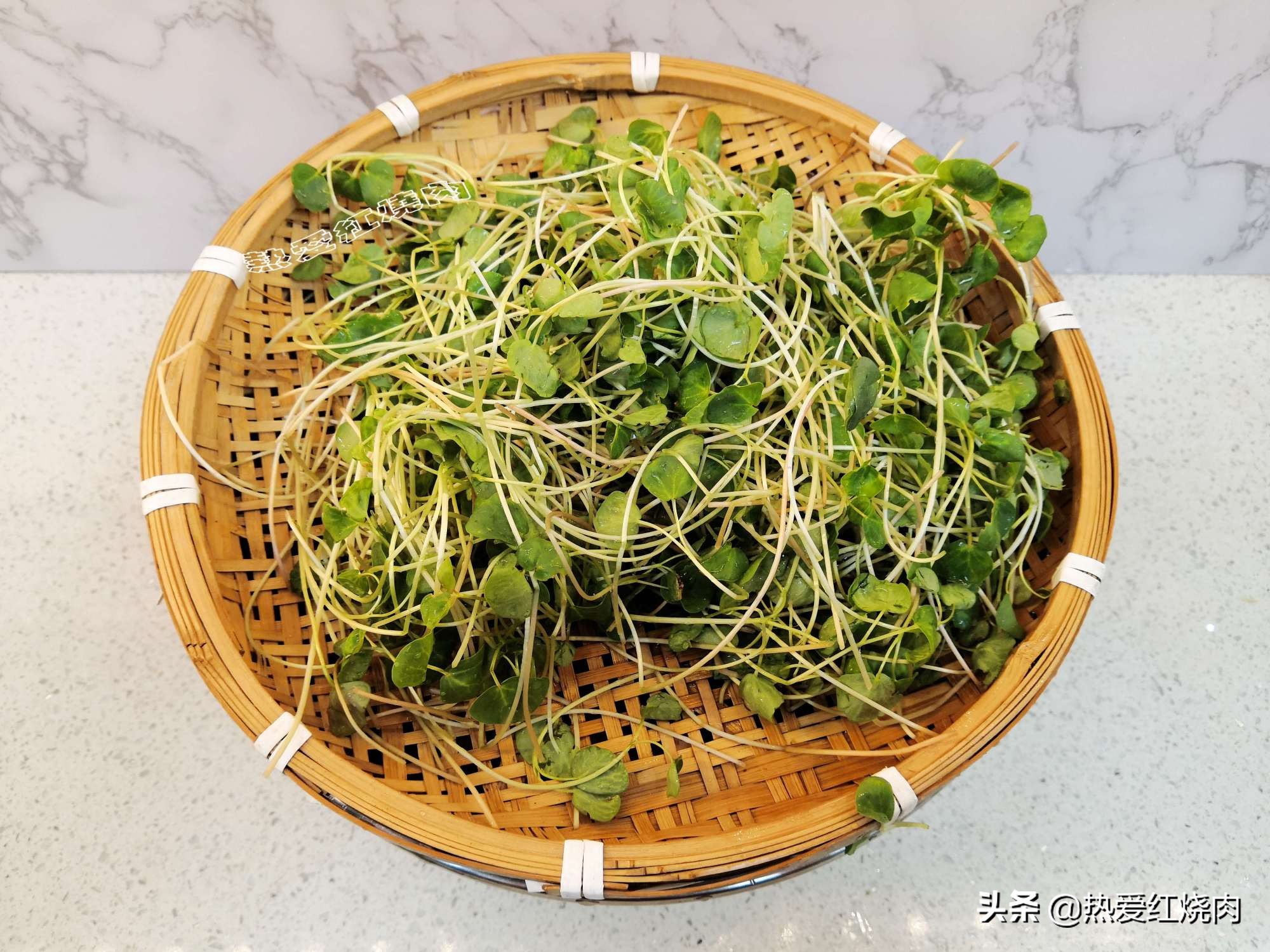 冬季如何撒种子种菜,冬季小花盆里可以种的菜