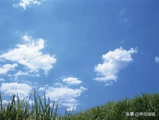 农谚谷雨下雨好吗,谷雨下雨农谚怎么说