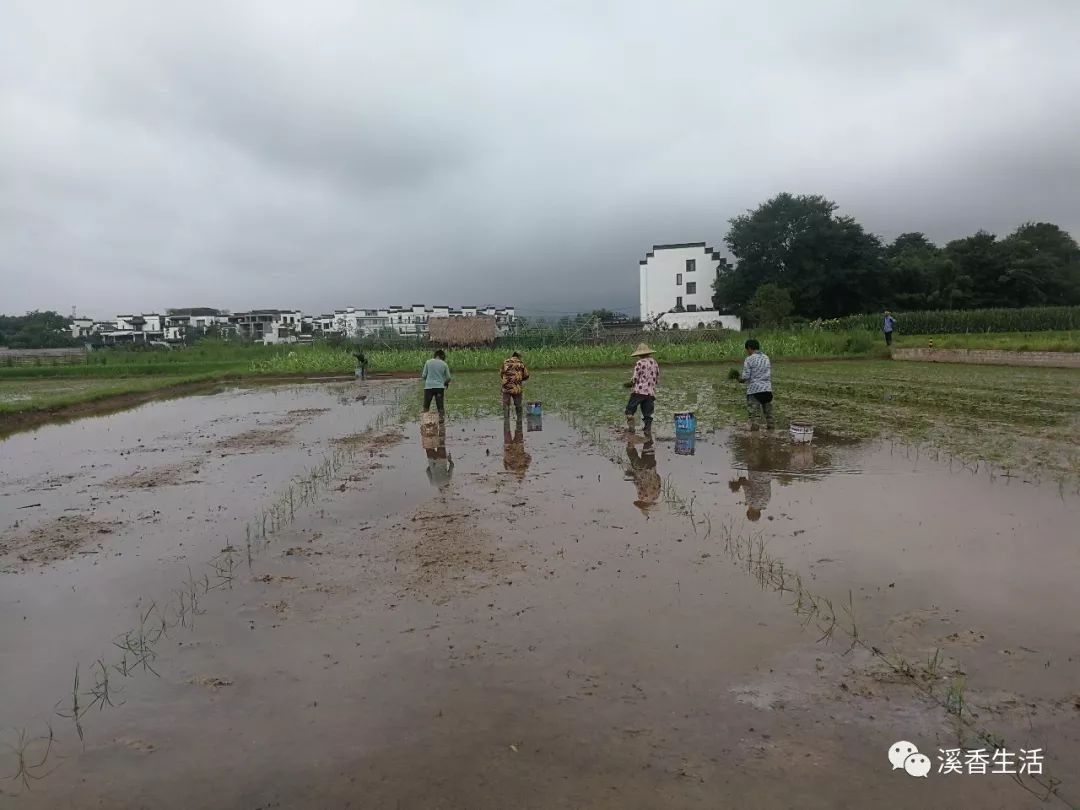 西溪南古村落惬意慢生活,徽州西溪南生活