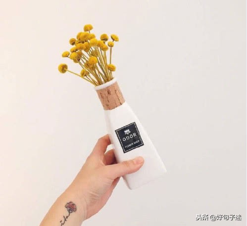 每日经典语录简短,短小金句语录