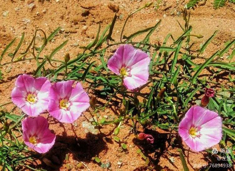 内蒙古二连浩特地图,内蒙古二连浩特机场