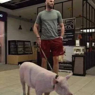 nba趣味比赛,nba球星的奇葩爱好