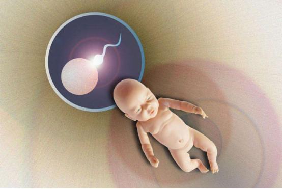 男性精索静脉曲张做什么运动恢复,男性精索静脉曲张是什么原因引起