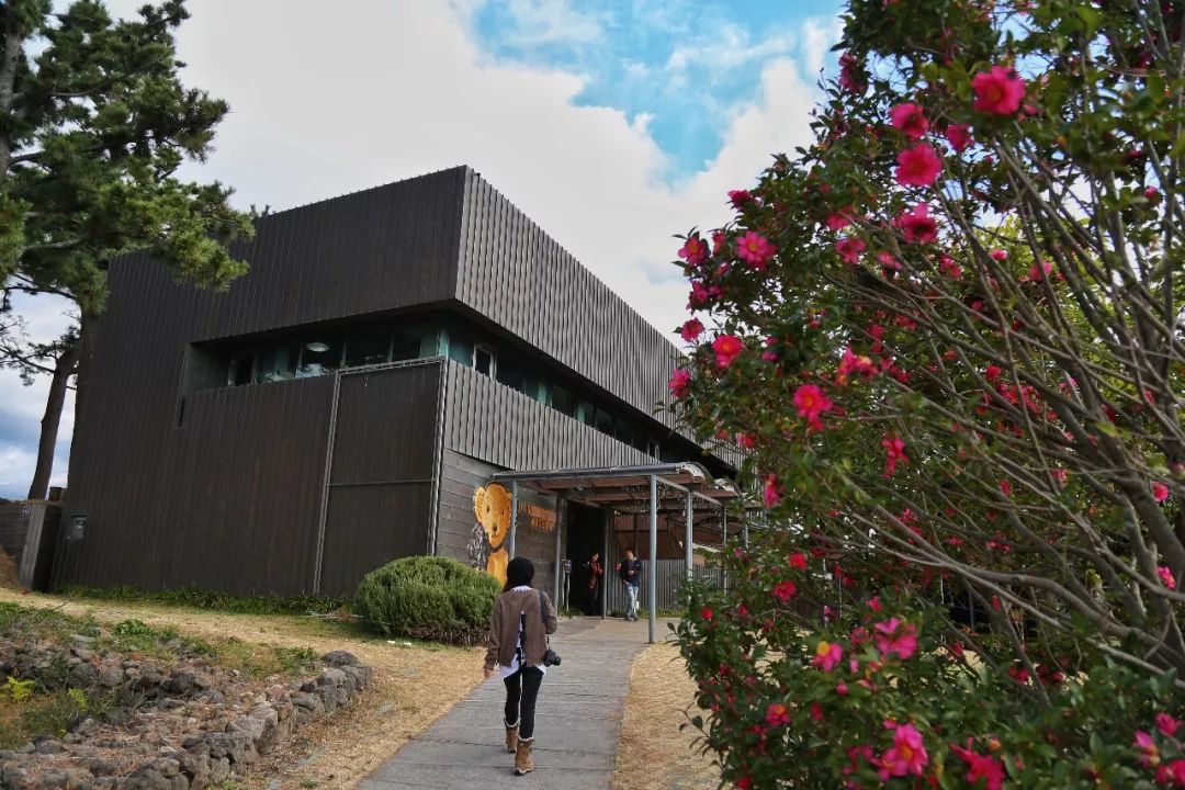 济州岛应该冬天去还是夏天去,冬日济州岛怎么玩