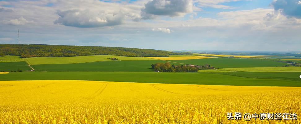 大盘很好但个股微跌,大盘跌个股也跌大盘涨还是跌