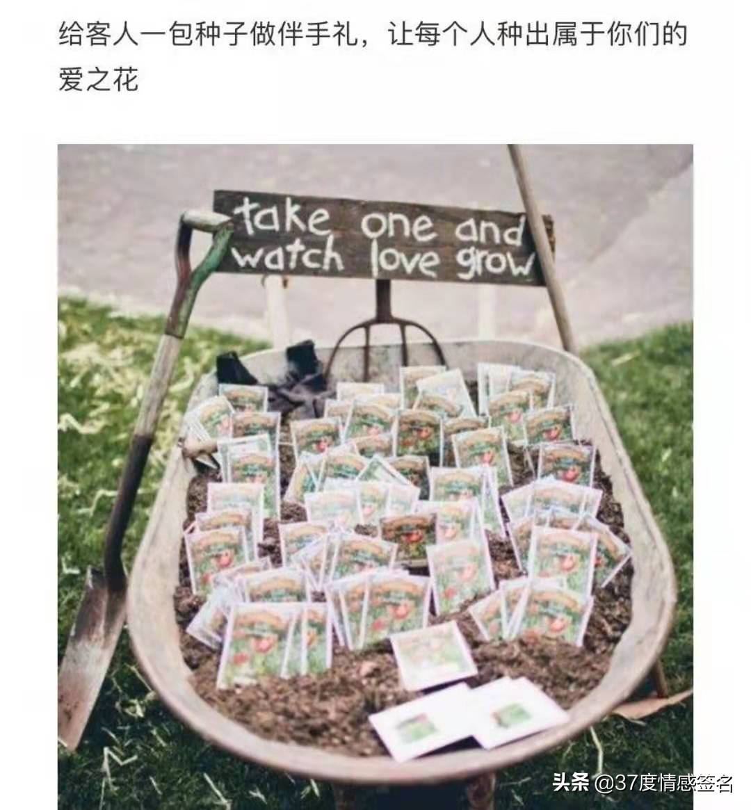 设计感满满的小众婚礼,中式小众婚礼高级创意