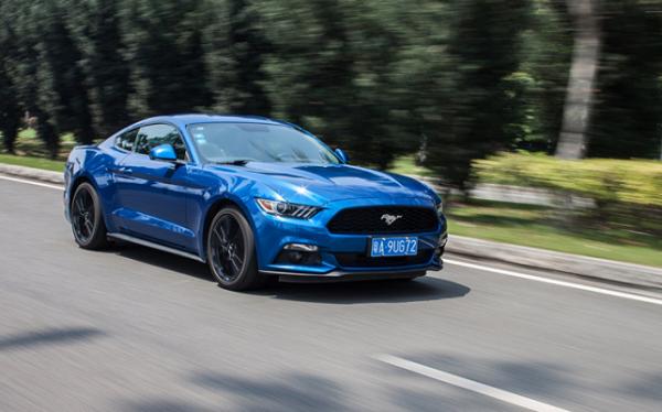 「装腔指南」平价豪门种草机：假装自己很有钱是一种什么样的体验