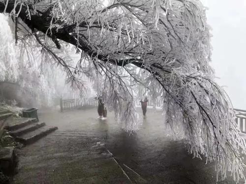 庄辉辉的作品,庄辉辉翻唱