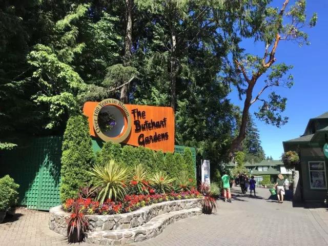 矿坑改造最美公园,矿坑改造湿地公园视频