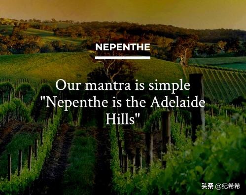 除了奔富还有什么硬通货,推荐几款物美价廉的澳洲红酒