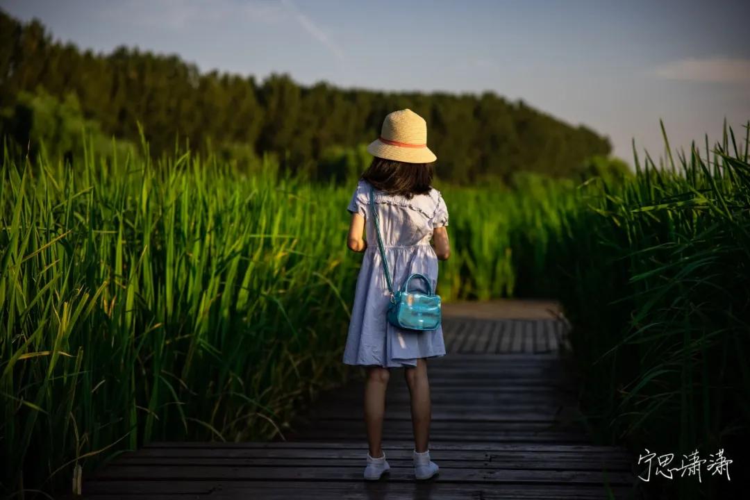 摄影初学者预算两千买什么相机,家用和旅游摄影买什么相机