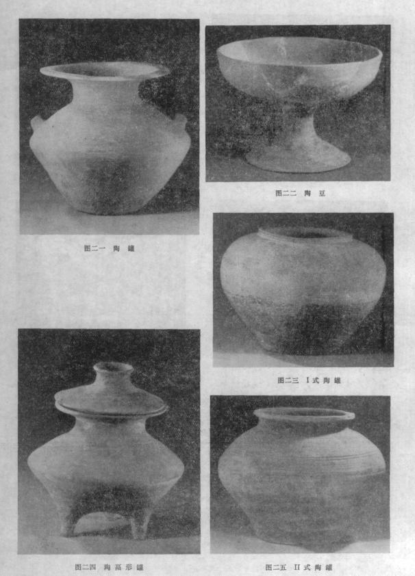 咸阳秦墓发掘全过程,秦墓发掘纪实全集