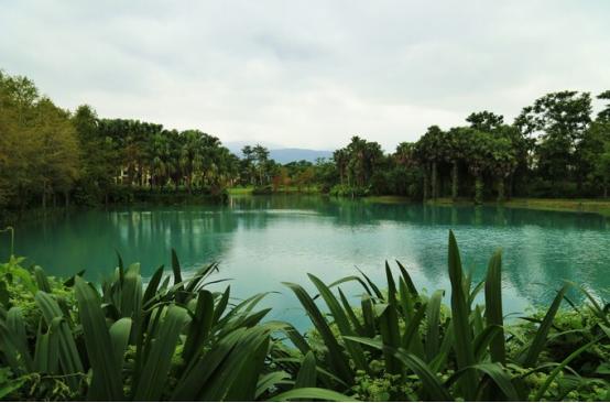 6月份去台湾旅游攻略,台湾垦丁一日旅游攻略大全