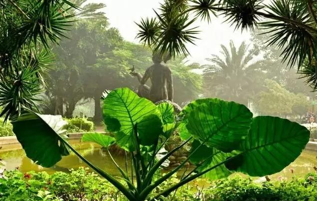 一座铁路上崛起的工业城市——开远，守望滇越百年