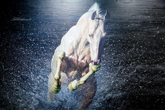 乌鲁木齐灯草沟滑雪,冰雪大世界滑雪体验