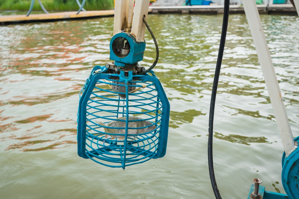 周末24小时畅玩,周末去哪儿玩曹妃甸