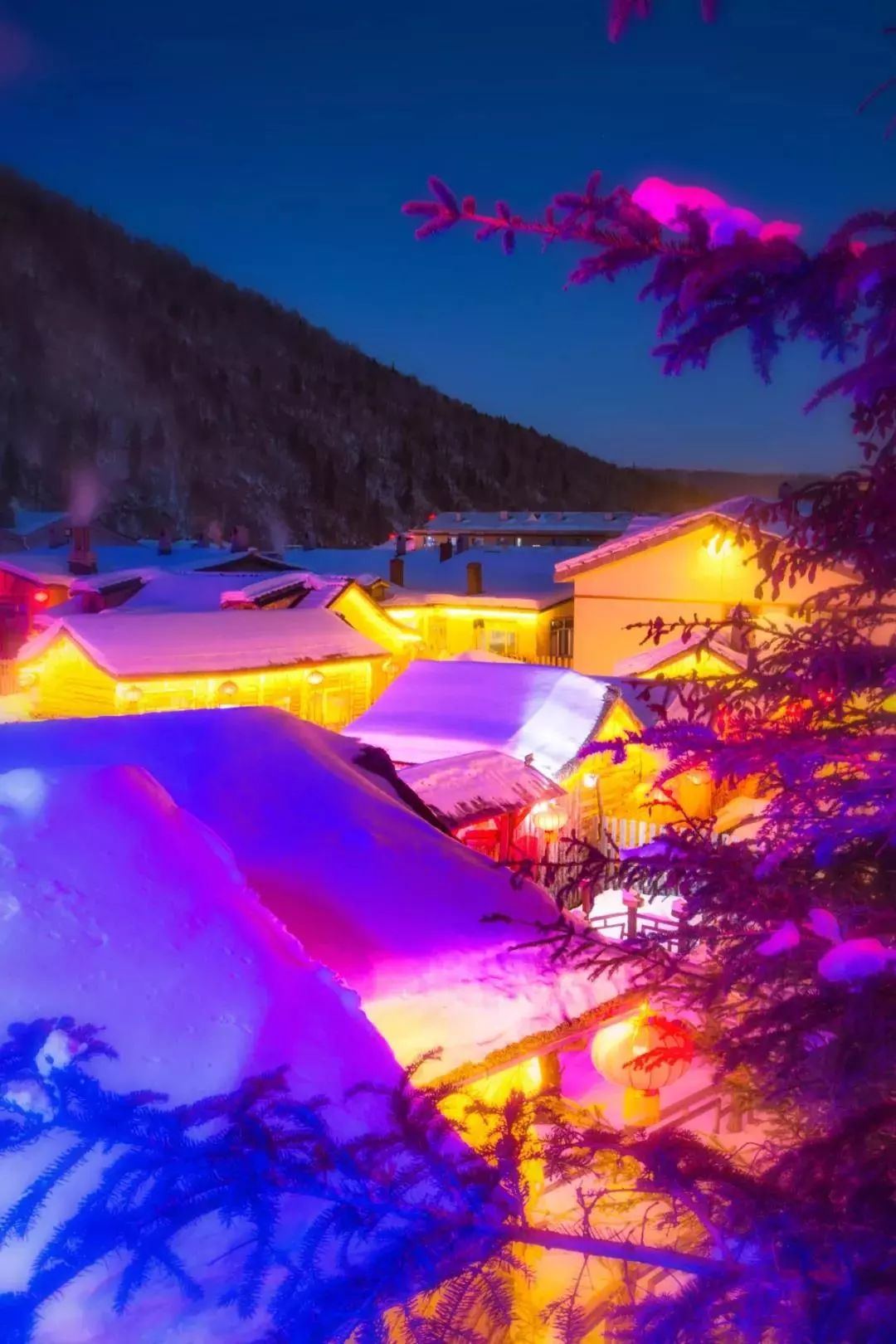 哈尔滨冰雪世界研学,新启元厦门暖冬研学营