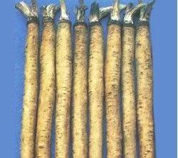 牛蒡和哪些食物搭配更有营养呢,牛蒡的吃法和营养价值