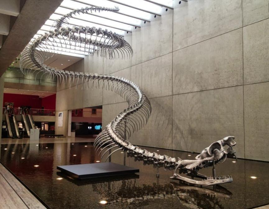 五十条泰坦巨蟒vs一条巨齿鲨,泰坦巨蟒vs帝鳄和巨齿鲨谁厉害