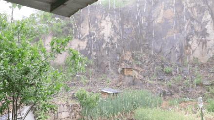 诸暨哪里树莓采摘最好,诸暨摘树莓