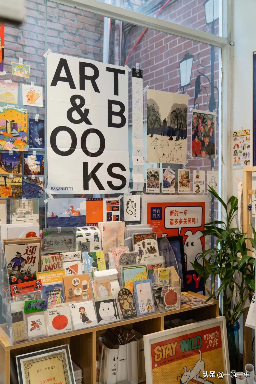 在一家叫“野狗”的独立商店，可以重新认识一座城？
