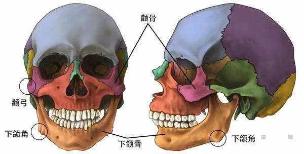 最有效干货来了：提升凹陷太阳穴、平衡高低颧骨