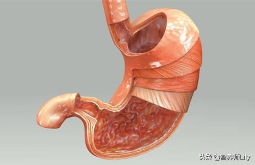 胃病患者的4个症状预示癌变,胃病变风险低无明显胃部不适